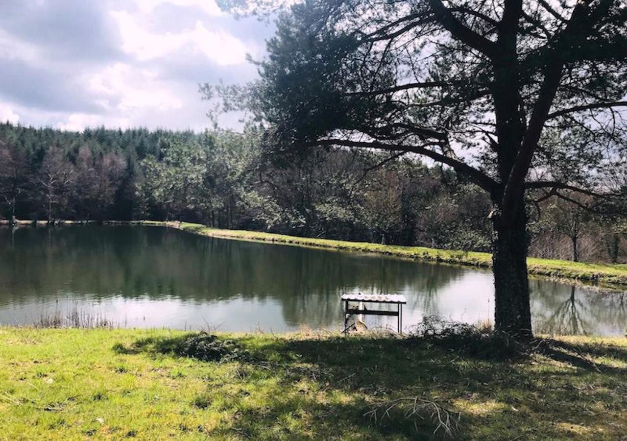 Morvan La Pastourelle Quarre-les-Tombes Экстерьер фото