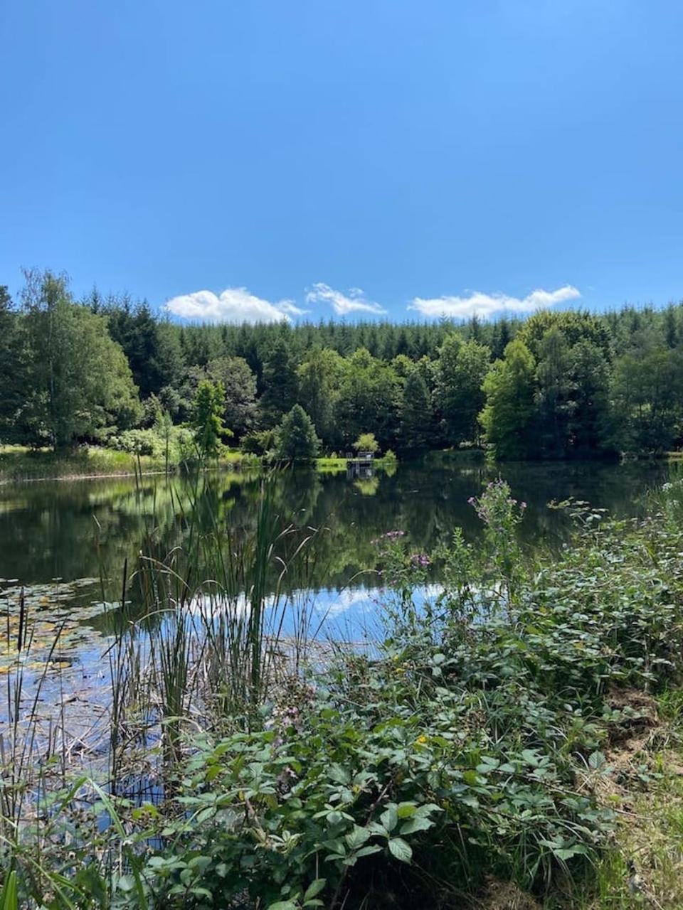 Morvan La Pastourelle Quarre-les-Tombes Экстерьер фото